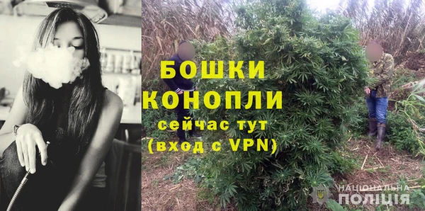 дурь Болотное