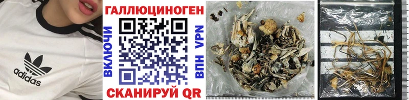 Галлюциногенные грибы мухоморы  Дубовка 